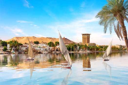 The Nile and sailboats behind the palm, Aswan, Egypt, summer scenery.