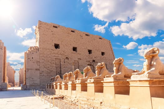 Luxor dromos, an avenue of human headed sphinxes, Karnak Temple, Egypt.