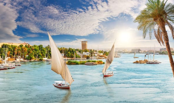 View of the Nile, feluccas and the palms, Aswan city, Egypt.
