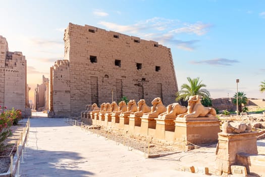 Avenue of Sphinxes near the Karnak Temple entrance, Luxor, Egypt.
