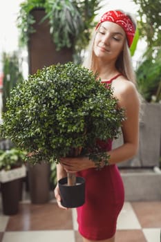 Beautiful blonde girl with myrtle tree in pot in red dress in greenhouse
