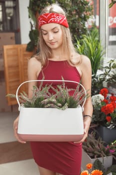 Smiling happy woman displaying Elsgolzia Staunton plant in potted houseplants