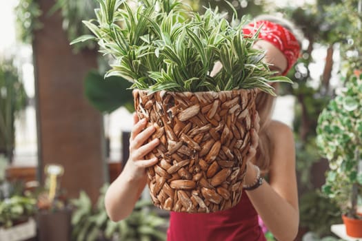 Young Office Woman Peeking Through Small Green Plants in White Vase on her Hand