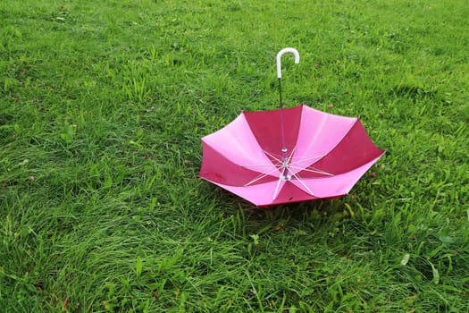 A red umbrella was blown away by the wind and lies on a wet meadow
