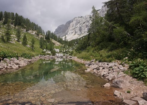 Reflection on a small pond on the Seven Lakes Valley HIke, Slovenia 2020