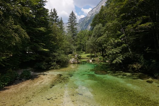 Beautiful reflection on the green water of a Slovenian river, Slovenia 2020