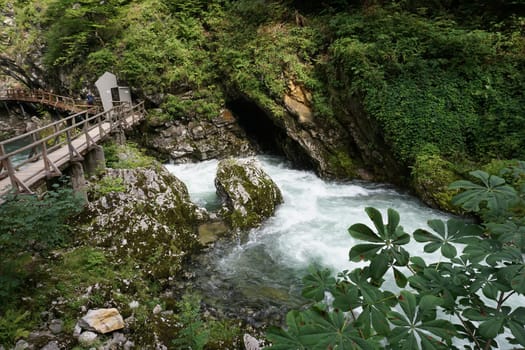 At the entrance of Vintgar Gorge in Bled, Slovenia 2020