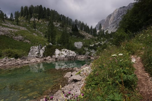Small path along a reflecting pond on the Seven Lakes Valley Hike, Slovenia 2020