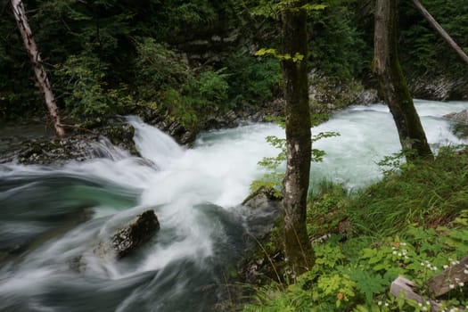 Long exposure at Vintgar Gorge in Bled, Slovenia 2020