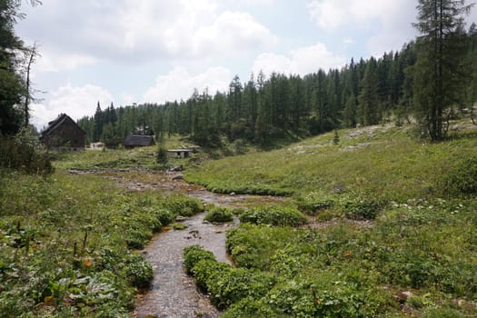 Small creek in front of Mountain Hut on the Seven Lakes Valley HIke, Slovenia 2020