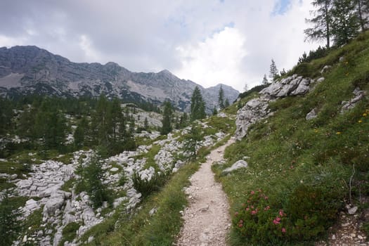Small path on the Seven Lakes Valley HIke, Slovenia 2020