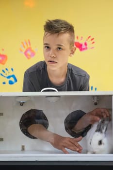 Blind guess game by touch . Young boy guesses by touch that he does not see in the box, rabbit in the box. Happy birthday celebrating or games with friends concept