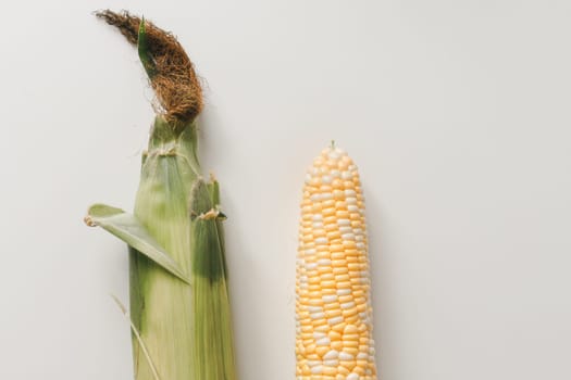Fresh corn on cob with husk on white, flat lay, top view. Vegan food, agriculture
