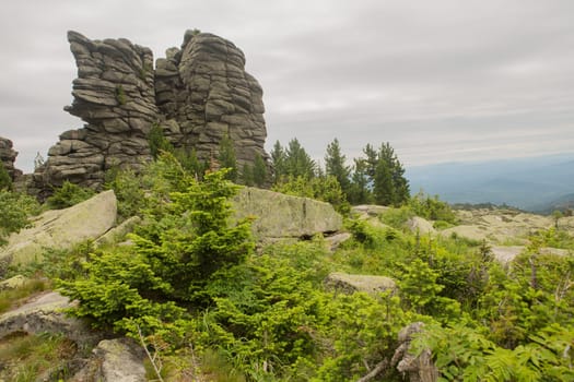 large kurum stones lie in the forest in the mountains, stones covered with moss, against the background of the forest, mountain landscape, high in the mountains..