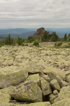 large kurum stones lie in the forest in the mountains, stones covered with moss, against the background of the forest, mountain landscape, high in the mountains..