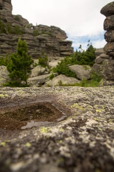 large kurum stones lie in the forest in the mountains, stones covered with moss, against the background of the forest, mountain landscape, high in the mountains..