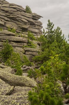 large kurum stones lie in the forest in the mountains, stones covered with moss, against the background of the forest, mountain landscape, high in the mountains..