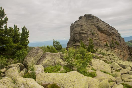 large kurum stones lie in the forest in the mountains, stones covered with moss, against the background of the forest, mountain landscape, high in the mountains..