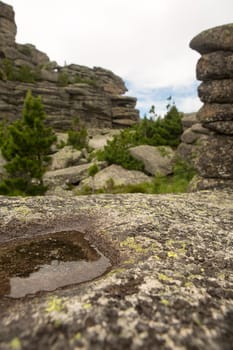 large kurum stones lie in the forest in the mountains, stones covered with moss, against the background of the forest, mountain landscape, high in the mountains..