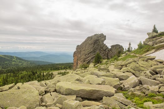 large kurum stones lie in the forest in the mountains, stones covered with moss, against the background of the forest, mountain landscape, high in the mountains..