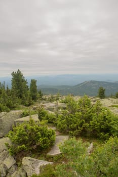 large kurum stones lie in the forest in the mountains, stones covered with moss, against the background of the forest, mountain landscape, high in the mountains..