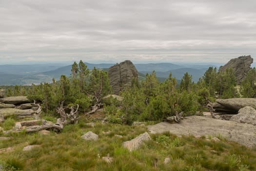 large kurum stones lie in the forest in the mountains, stones covered with moss, against the background of the forest, mountain landscape, high in the mountains..