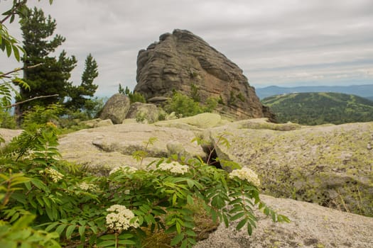 large kurum stones lie in the forest in the mountains, stones covered with moss, against the background of the forest, mountain landscape, high in the mountains..