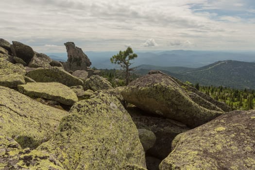 large kurum stones lie in the forest in the mountains, stones covered with moss, against the background of the forest, mountain landscape, high in the mountains..
