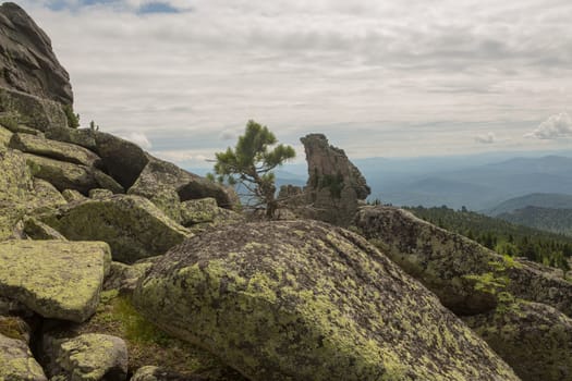 large kurum stones lie in the forest in the mountains, stones covered with moss, against the background of the forest, mountain landscape, high in the mountains..