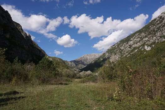 Beautiful meadow on the way to the Bijela Canyon, 2020