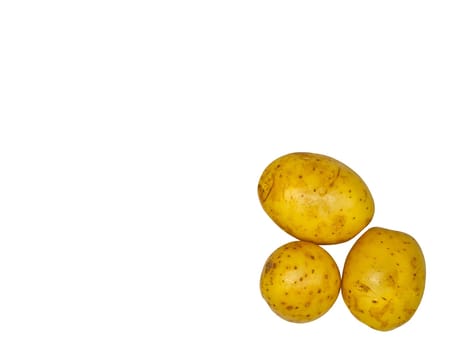 Harvest of yellow potatoes on a white background. Potato harvest. Agricultural business. Farm. Shop window. Raw food. Background image. Template for text.
