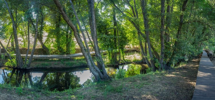Gevora river, La Codosera, Badajoz, Extremadura, Spain. Idyllic location of crystal clear waters and riverside forests