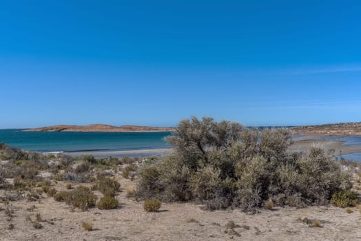 argentinian atlantic coast north of Comodoro Rivadavia