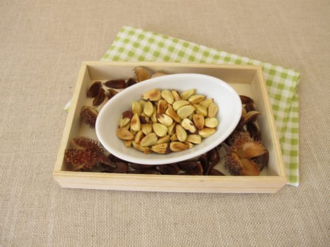 Roasted beechnuts as a healthy snack