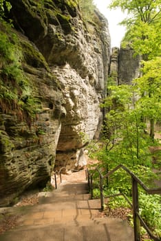 Bastei in the elbe sandstone mountains in the saxon switzerland in Germany, Elbsandsteingebirge near Dresden