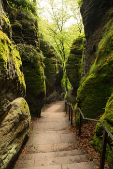 Bastei in the elbe sandstone mountains in the saxon switzerland in Germany, Elbsandsteingebirge near Dresden