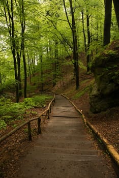Bastei in the elbe sandstone mountains in the saxon switzerland in Germany, Elbsandsteingebirge near Dresden