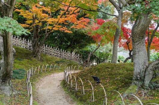 Japanese Autumn color of Korakuen garden in Okayama, Japan