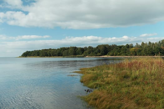 lake shore, yellow grass, forest on the horizon, clouds are reflected in blue water beautiful autumn landscape