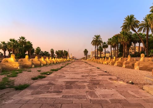 Luxor city, Sphinx alley evening view, Egypt.