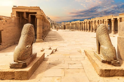 Lion Statues, Temple of Isis, Philae Aswan Egypt