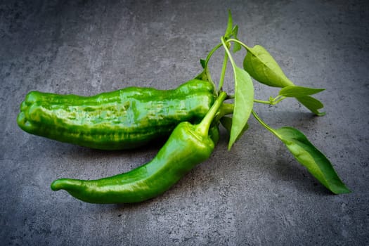 Green pepper with leaves over dark background