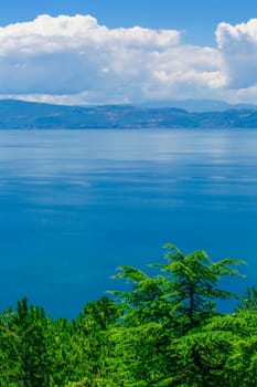 The panoramic mediterranean blue sea and sky amd green Pine trees