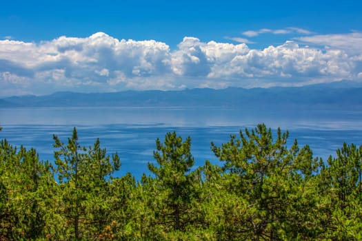 The panoramic mediterranean blue sea and sky amd green Pine trees
