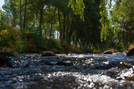 Ambroz River running beside Abadia Village. Caceres, Extremadura, Spain