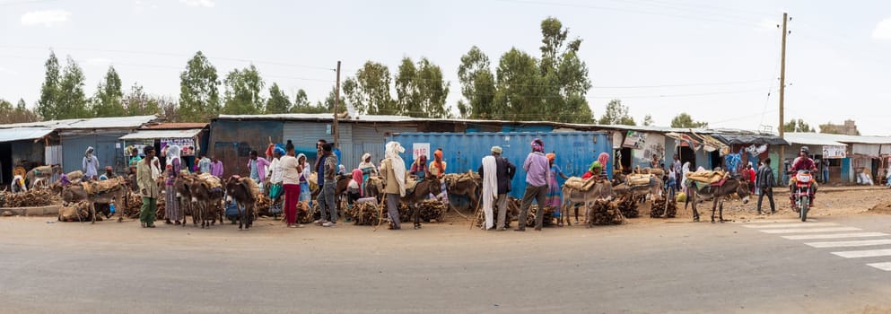 AXUM, ETHIOPIA, APRIL 27th 2019: Tigray native people selling firewood loaded on dirty donkeys on the main street of Aksum on April 27, 2019 in Aksum, Ethiopia Africa