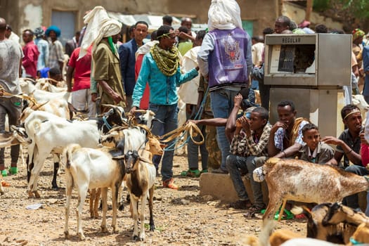 AXUM, ETHIOPIA, APRIL 27th 2019: Tigray native people selling firewood loaded on dirty donkeys on the main street of Aksum on April 27, 2019 in Aksum, Ethiopia Africa
