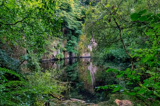 Lake in Kennall Vale Nature Reserve, Ponsanooth, Cornwall, United Kingdom
