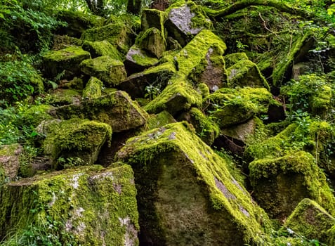 Kennall Vale Nature Reserve, Ponsanooth, Cornwall, United Kingdom