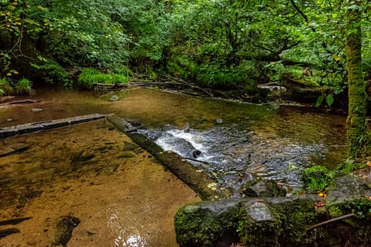 Kennall river in Kennall Vale Nature Reserve, Ponsanooth, Cornwall, United Kingdom